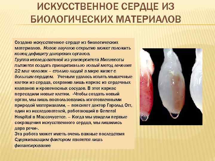 ИСКУССТВЕННОЕ СЕРДЦЕ ИЗ БИОЛОГИЧЕСКИХ МАТЕРИАЛОВ Создано искусственное сердце из биологических материалов. Новое научное открытие