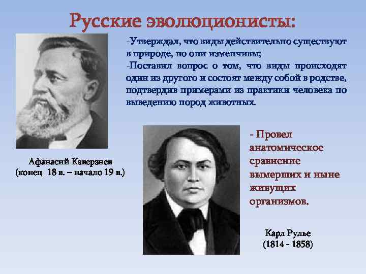 Русские эволюционисты: -Утверждал, что виды действительно существуют в природе, но они изменчивы; -Поставил вопрос