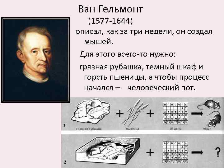 Ван Гельмонт (1577 -1644) описал, как за три недели, он создал мышей. Для этого