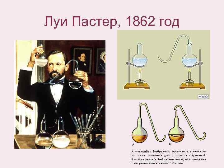 Луи Пастер, 1862 год 