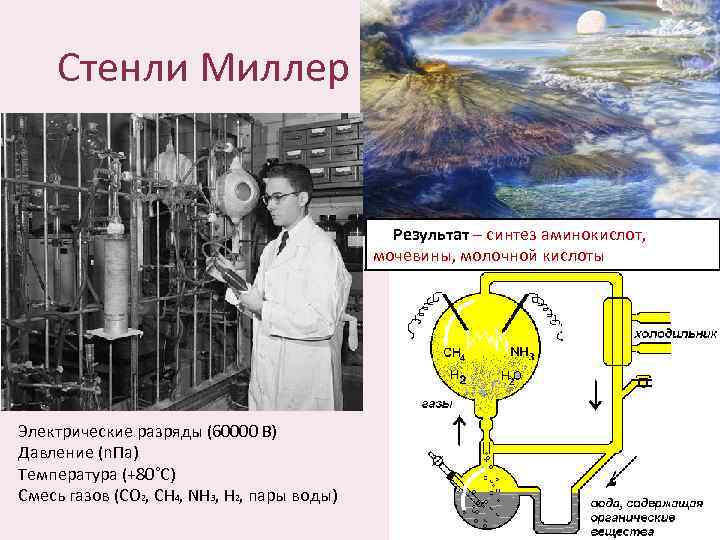 Стенли Миллер Результат – синтез аминокислот, мочевины, молочной кислоты Электрические разряды (60000 В) Давление