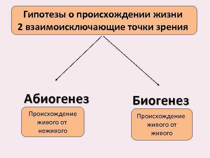 Пример какой гипотезы о возникновении жизни указан на картинке в чем сущность данной гипотеза