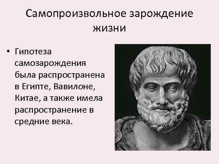 Презентация на тему гипотеза самопроизвольного зарождения жизни