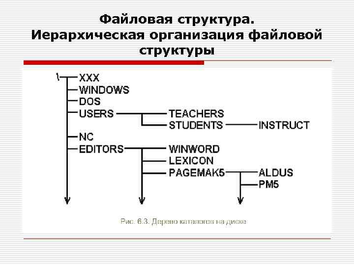 Файловая структура. Иерархическая организация файловой структуры 