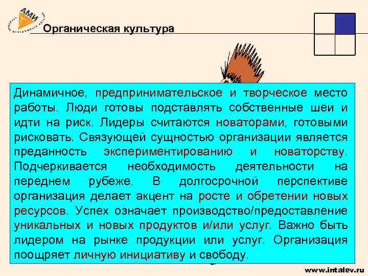 Органическая культура Динамичное, предпринимательское и творческое место работы. Люди готовы подставлять собственные шеи и