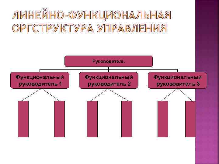 Руководитель Функциональный руководитель 1 Функциональный руководитель 2 Функциональный руководитель 3 