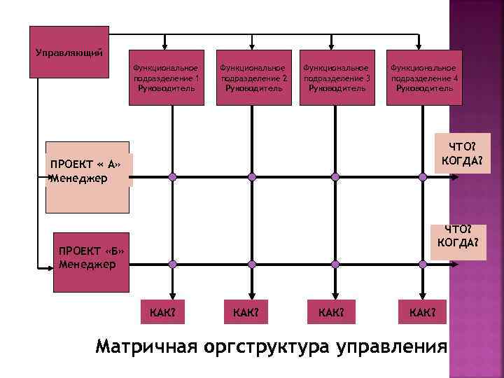 Управляющий Функциональное подразделение 1 Руководитель Функциональное подразделение 2 Руководитель Функциональное подразделение 3 Руководитель Функциональное