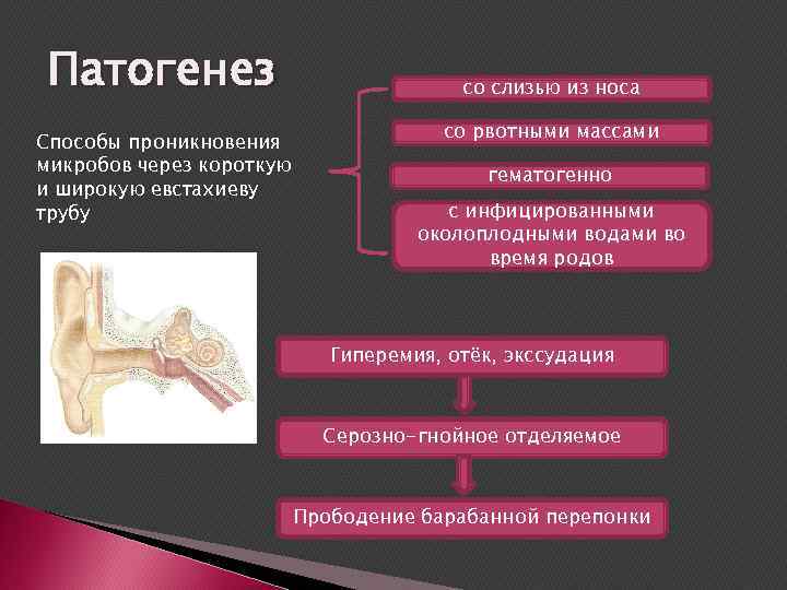 Патогенез Способы проникновения микробов через короткую и широкую евстахиеву трубу со слизью из носа