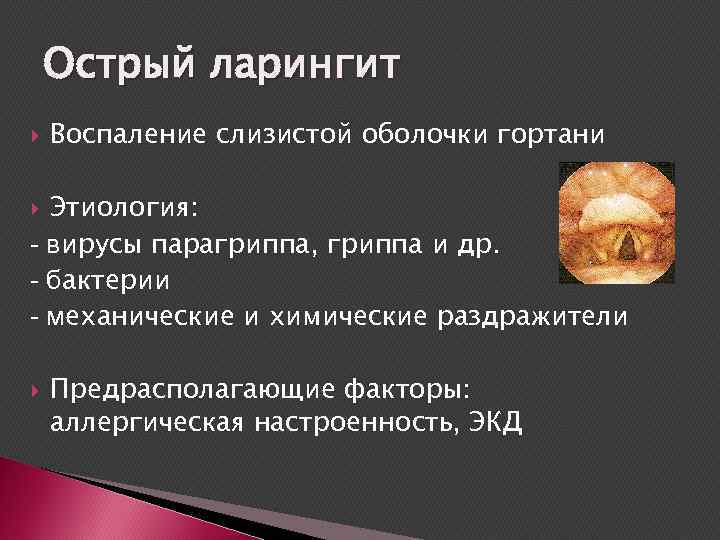 Острый ларингит Воспаление слизистой оболочки гортани Этиология: - вирусы парагриппа, гриппа и др. -