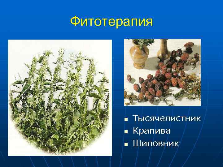 Фитотерапия n n n Тысячелистник Крапива Шиповник 