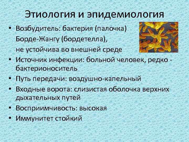 Этиология и эпидемиология • Возбудитель: бактерия (палочка) Борде-Жангу (бордетелла), не устойчива во внешней среде