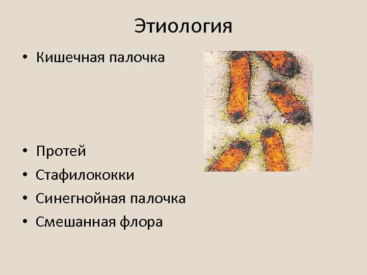 Этиология • Кишечная палочка • • Протей Стафилококки Синегнойная палочка Смешанная флора 