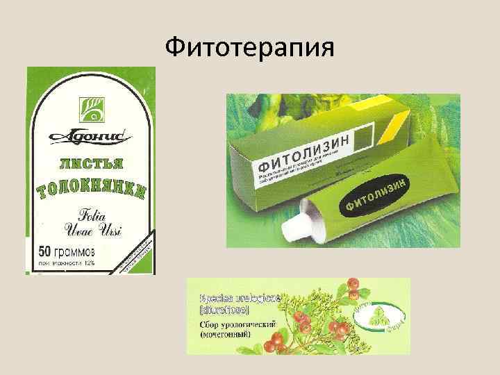 Фитотерапия 