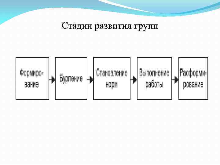 Развитие группы. Модель группового поведения. Этапы формирования группы в организации. Модели группового поведения в организации. Критерии группового поведения.