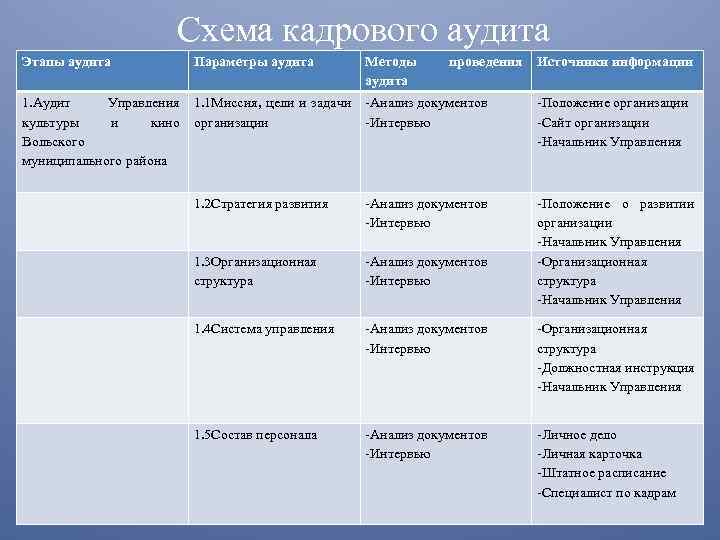 Отчет по кадровому аудиту образец