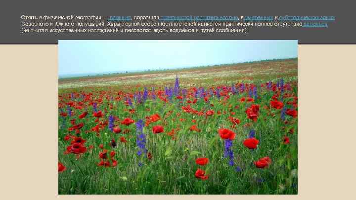 Города природной зоны степь. Средообразователем в степи является. Охарактеризуйте природное сообщество степей. Степь природная зона 4 класс. Какая Главная причина отсутствия лесов в степи.