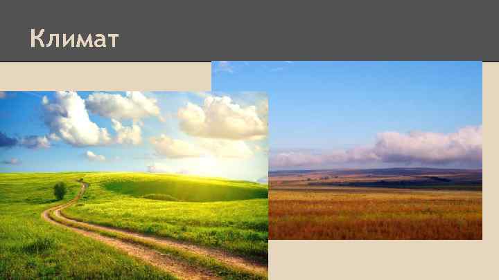 Климат 