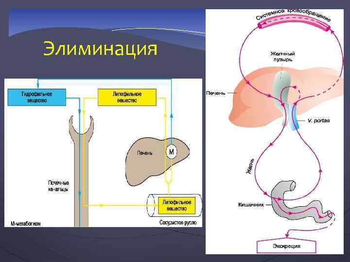 Элиминация 