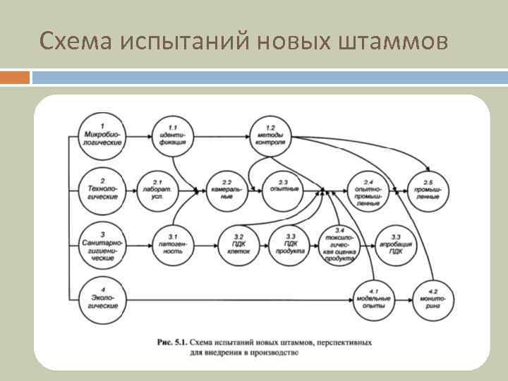 Схема испытаний новых штаммов 