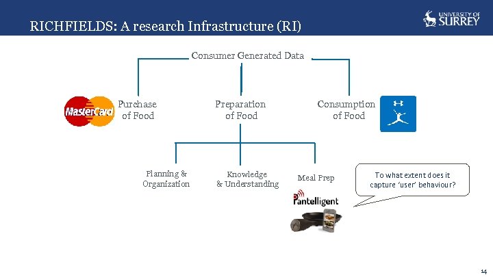 RICHFIELDS: A research Infrastructure (RI) Consumer Generated Data Purchase of Food Planning & Organization