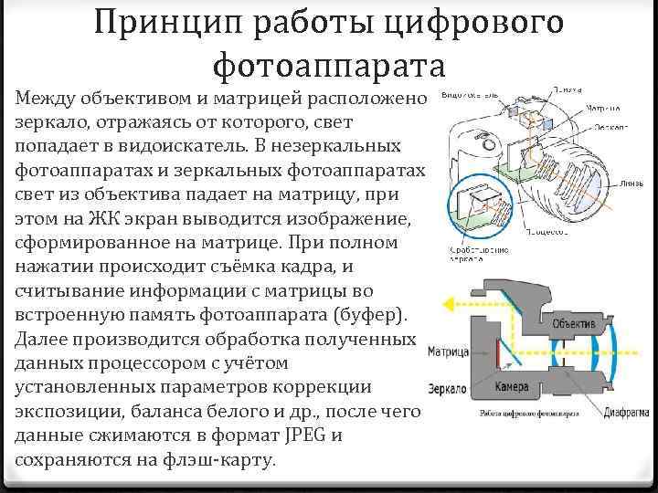 Принцип работы цифрового фотоаппарата Между объективом и матрицей расположено зеркало, отражаясь от которого, свет