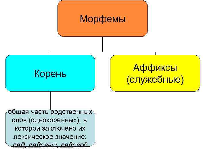 Морфемы Корень общая часть родственных слов (однокоренных), в которой заключено их лексическое значение: сад,
