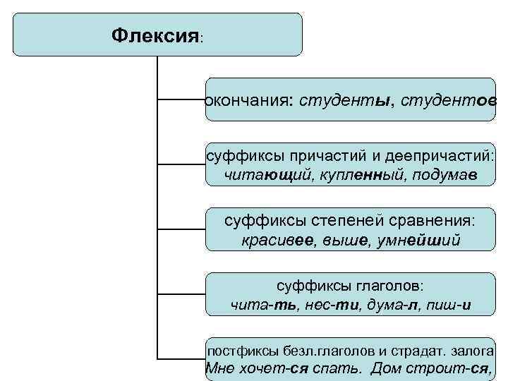 Флексия: окончания: студенты, студентов суффиксы причастий и деепричастий: читающий, купленный, подумав суффиксы степеней сравнения: