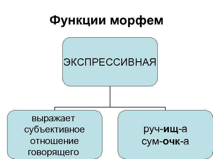 Функции морфемы. Функции морфемики. Экспрессивные морфемы. Функционирование морфем. Экспрессивное словообразование.