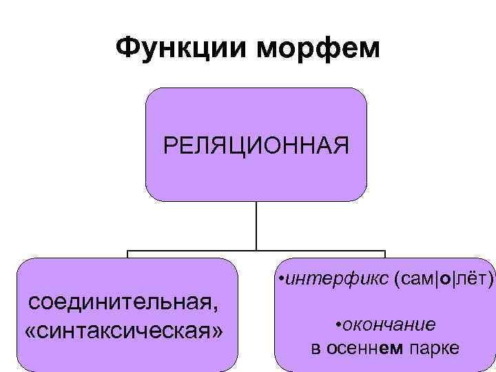 Функции морфем РЕЛЯЦИОННАЯ соединительная, «синтаксическая» • интерфикс (сам|о|лёт) • окончание в осеннем парке 