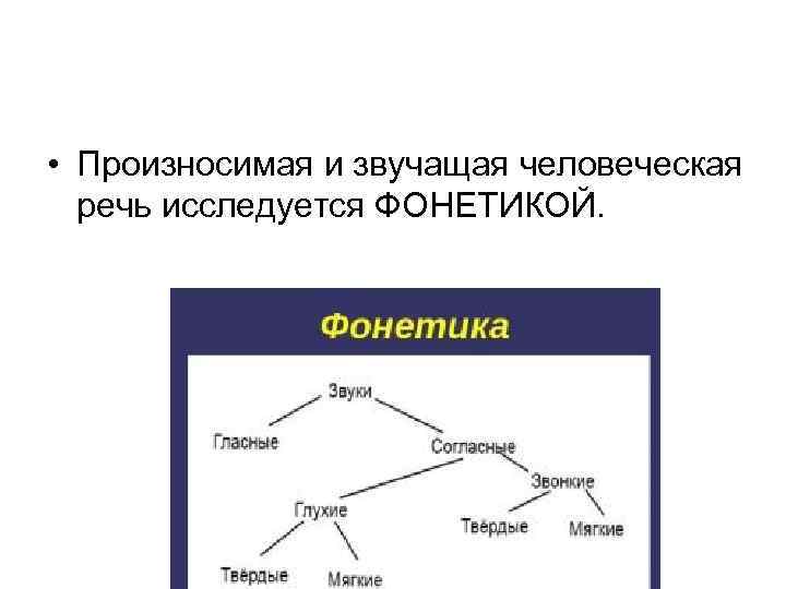  • Произносимая и звучащая человеческая речь исследуется ФОНЕТИКОЙ. 