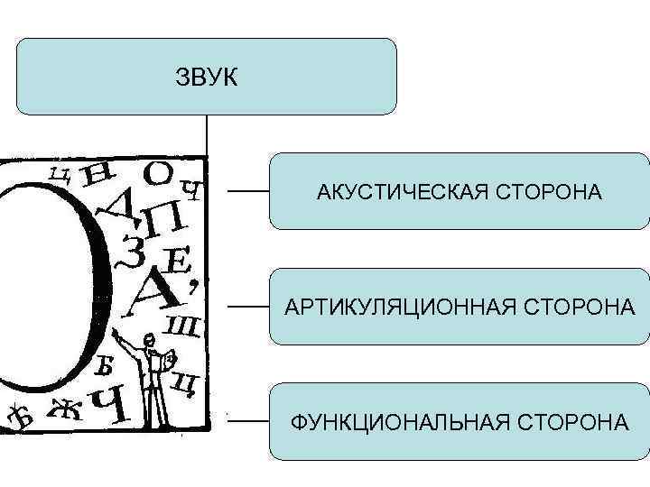 ЗВУК АКУСТИЧЕСКАЯ СТОРОНА АРТИКУЛЯЦИОННАЯ СТОРОНА ФУНКЦИОНАЛЬНАЯ СТОРОНА 
