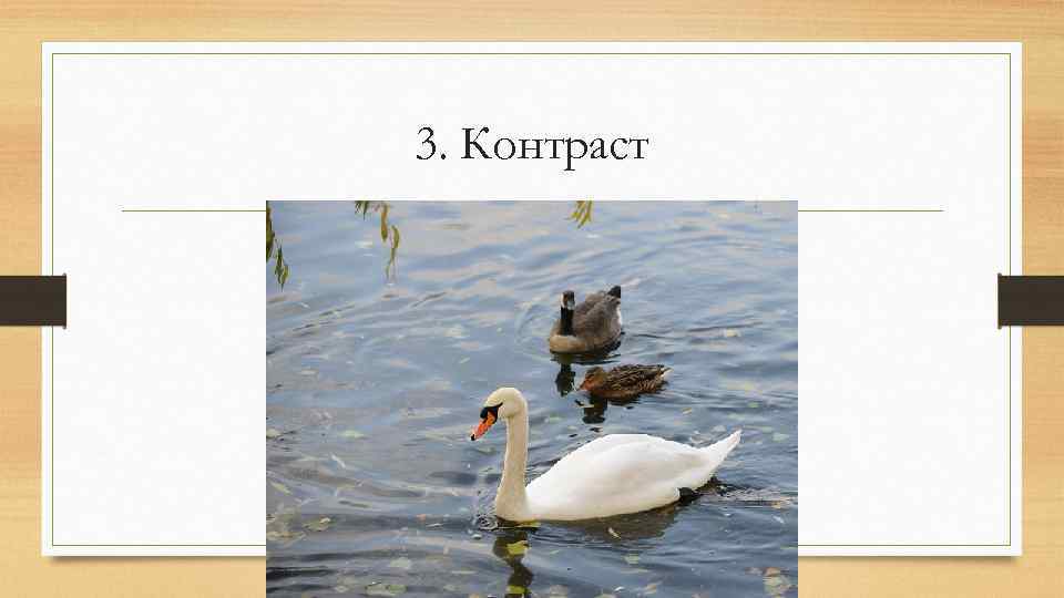 3. Контраст 