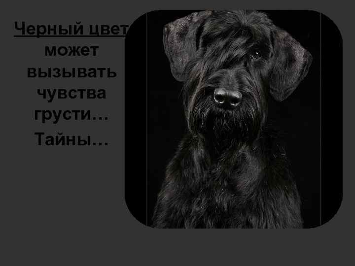 Черный цвет может вызывать чувства грусти… Тайны… 