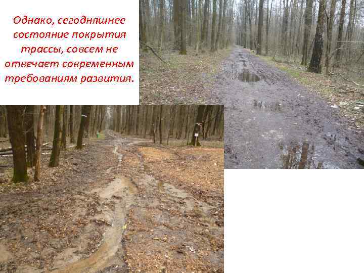 Однако, сегодняшнее состояние покрытия трассы, совсем не отвечает современным требованиям развития. 