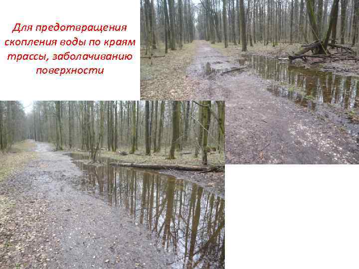 Для предотвращения скопления воды по краям трассы, заболачиванию поверхности 
