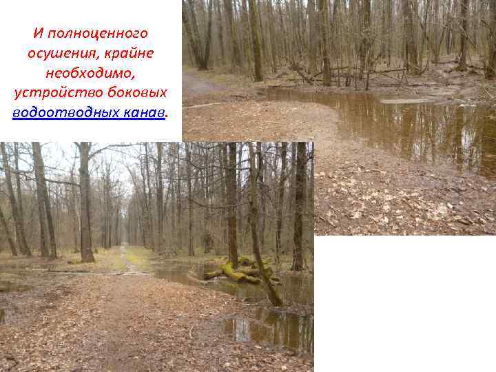 И полноценного осушения, крайне необходимо, устройство боковых водоотводных канав. 