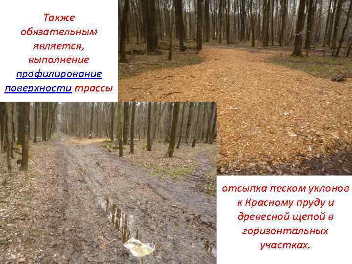 Также обязательным является, выполнение профилирование поверхности трассы отсыпка песком уклонов к Красному пруду и