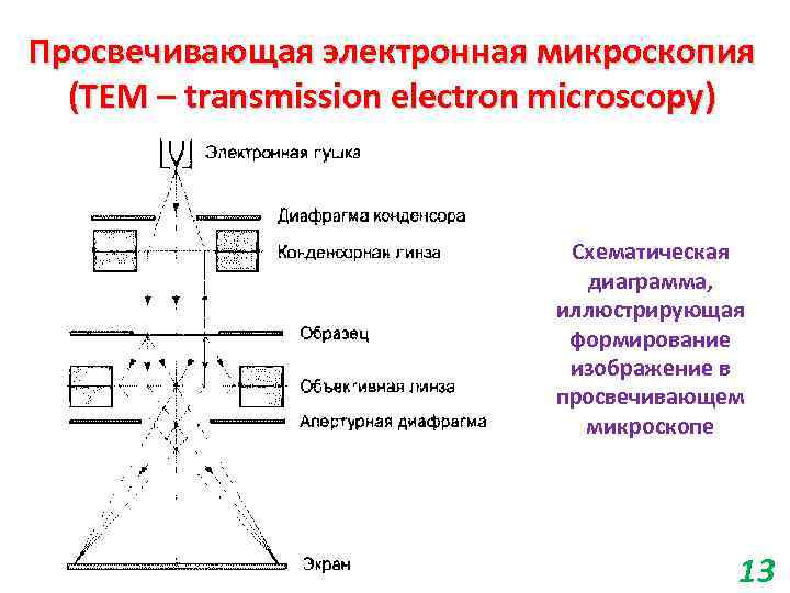 Просвечивающая электронная микроскопия (TEM – transmission electron microscopy) Схематическая диаграмма, иллюстрирующая формирование изображение в