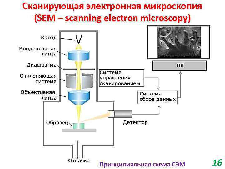 Сканирующая электронная микроскопия (SEM – scanning electron microscopy) Принципиальная схема СЭМ 16 