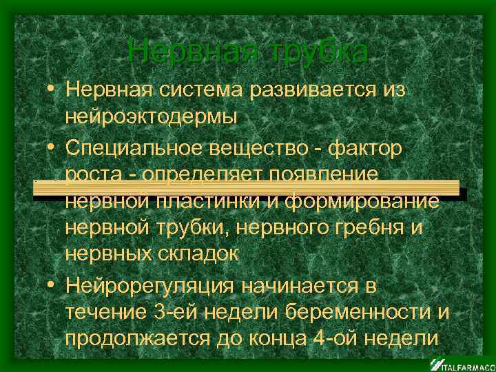 Нервная трубка • Нервная система развивается из нейроэктодермы • Специальное вещество - фактор роста