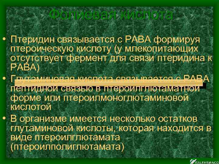 Фолиевая кислота • Птеридин связывается с PABA формируя птероическую кислоту (у млекопитающих отсутствует фермент