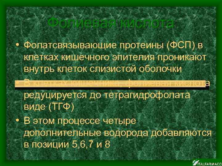 Фолиевая кислота • Фолатсвязывающие протеины (ФСП) в клетках кишечного эпителия проникают внутрь клеток слизистой