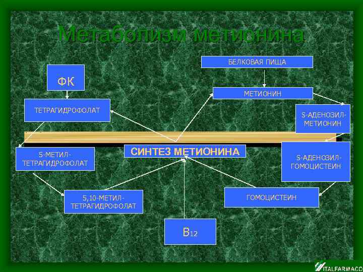 Метаболизм метионина БЕЛКОВАЯ ПИЩА ФК МЕТИОНИН ТЕТРАГИДРОФОЛАТ 5 -МЕТИЛТЕТРАГИДРОФОЛАТ S-АДЕНОЗИЛМЕТИОНИН СИНТЕЗ МЕТИОНИНА S-АДЕНОЗИЛГОМОЦИСТЕИН 5,