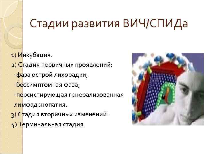 Стадии развития ВИЧ/СПИДа 1) Инкубация. 2) Стадия первичных проявлений: -фаза острой лихорадки, -бессимптомная фаза,