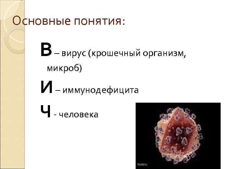Основные понятия: В – вирус (крошечный организм, микроб) И – иммунодефицита Ч - человека
