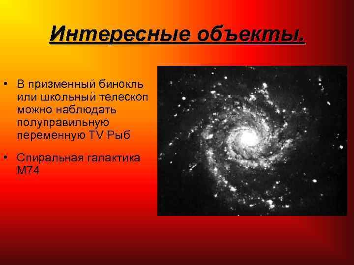 Интересные объекты. • В призменный бинокль или школьный телескоп можно наблюдать полуправильную переменную TV