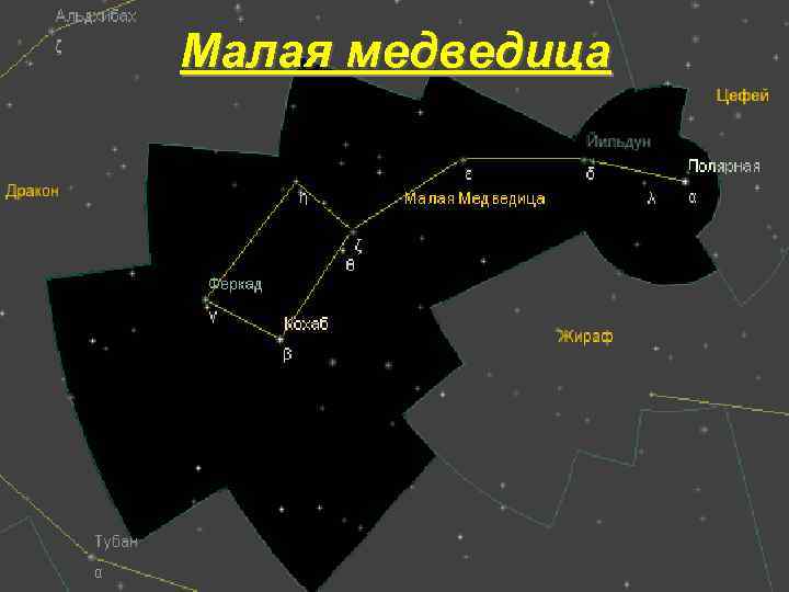 Малая медведица 