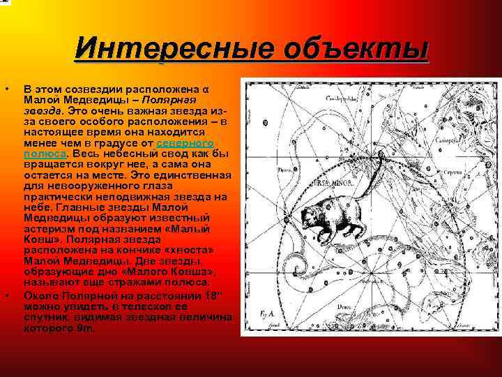 Интересные объекты • • В этом созвездии расположена α Малой Медведицы – Полярная звезда.