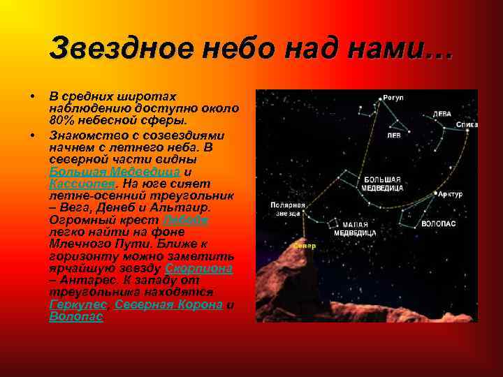 Звездное небо над нами… • • В средних широтах наблюдению доступно около 80% небесной