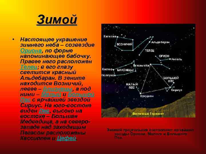 Зимой • Настоящее украшение зимнего неба – созвездие Ориона, по форме напоминающее бабочку. Правее